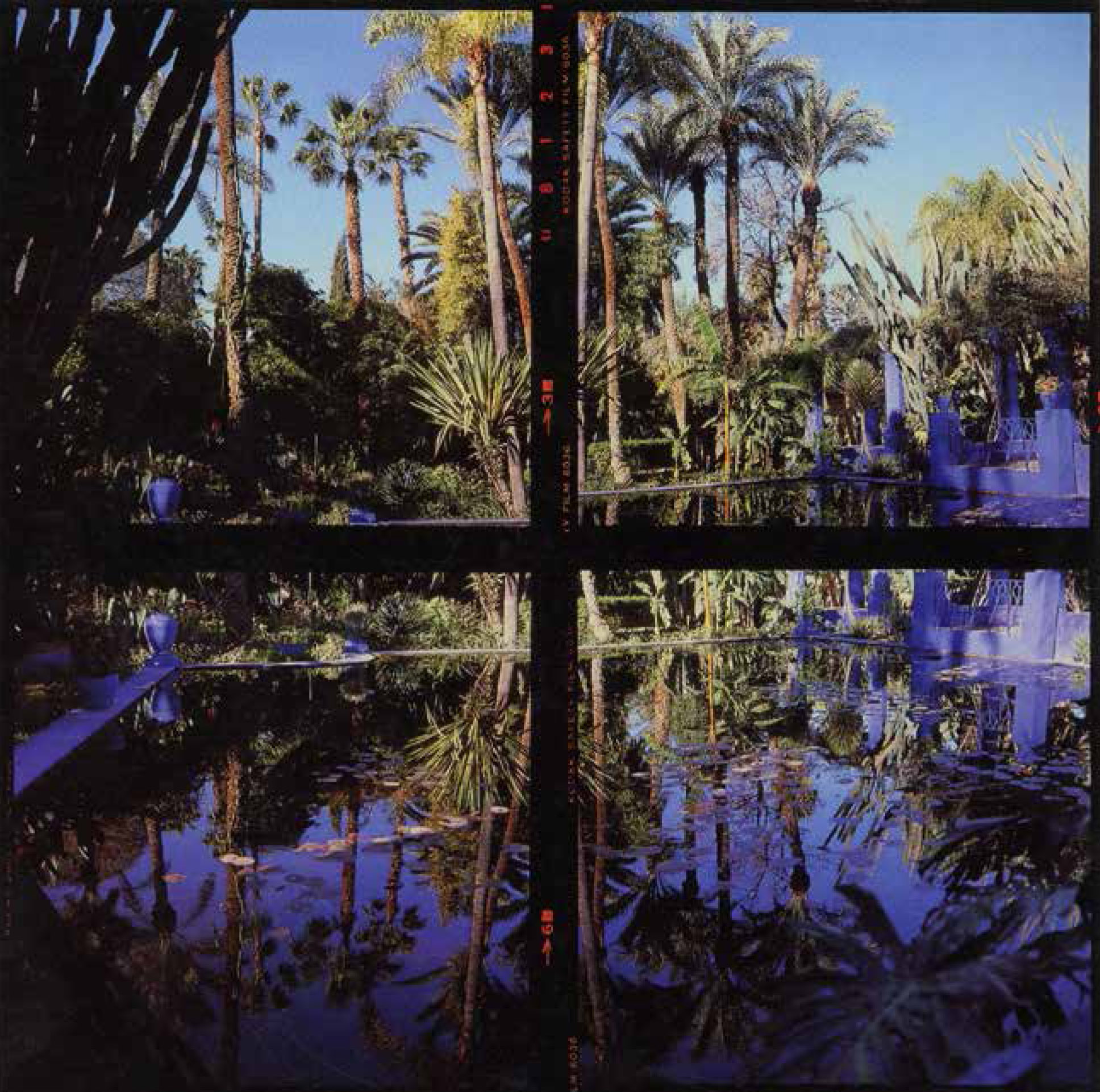 jardin-majorelle-fleig