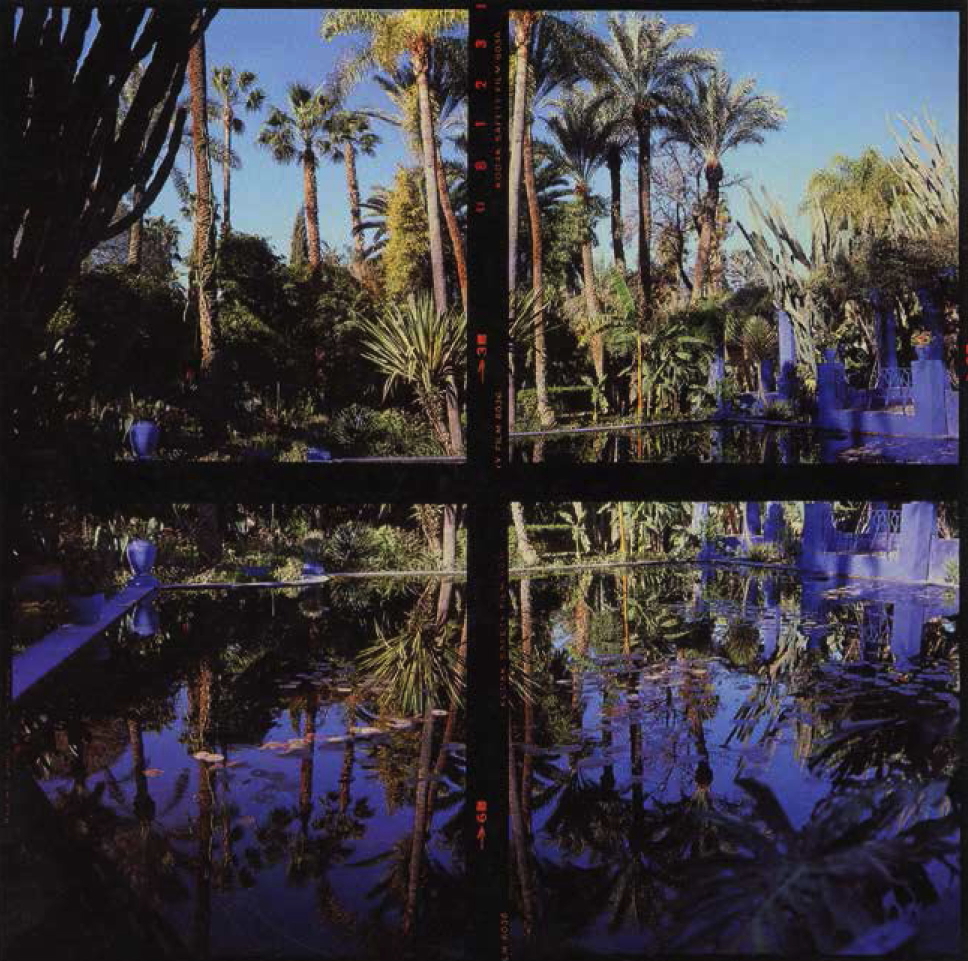 Majorelle